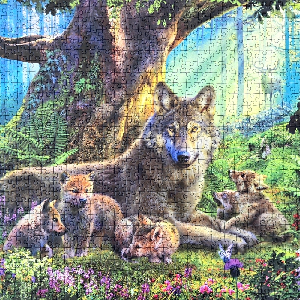 Ravensburger 1000 Puzzle